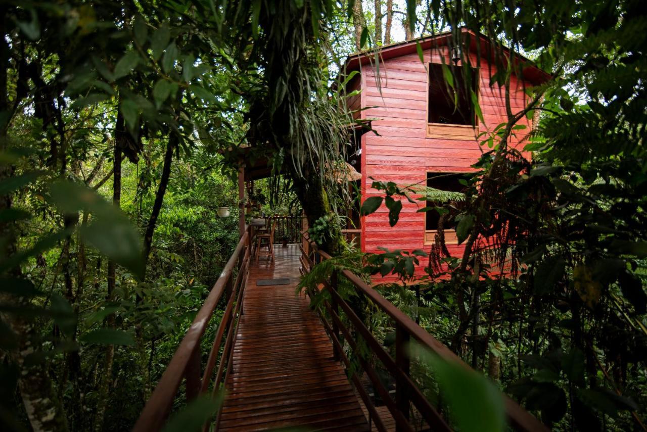 Tominejo Ecolodge - Casas En Los Arboles Neira エクステリア 写真