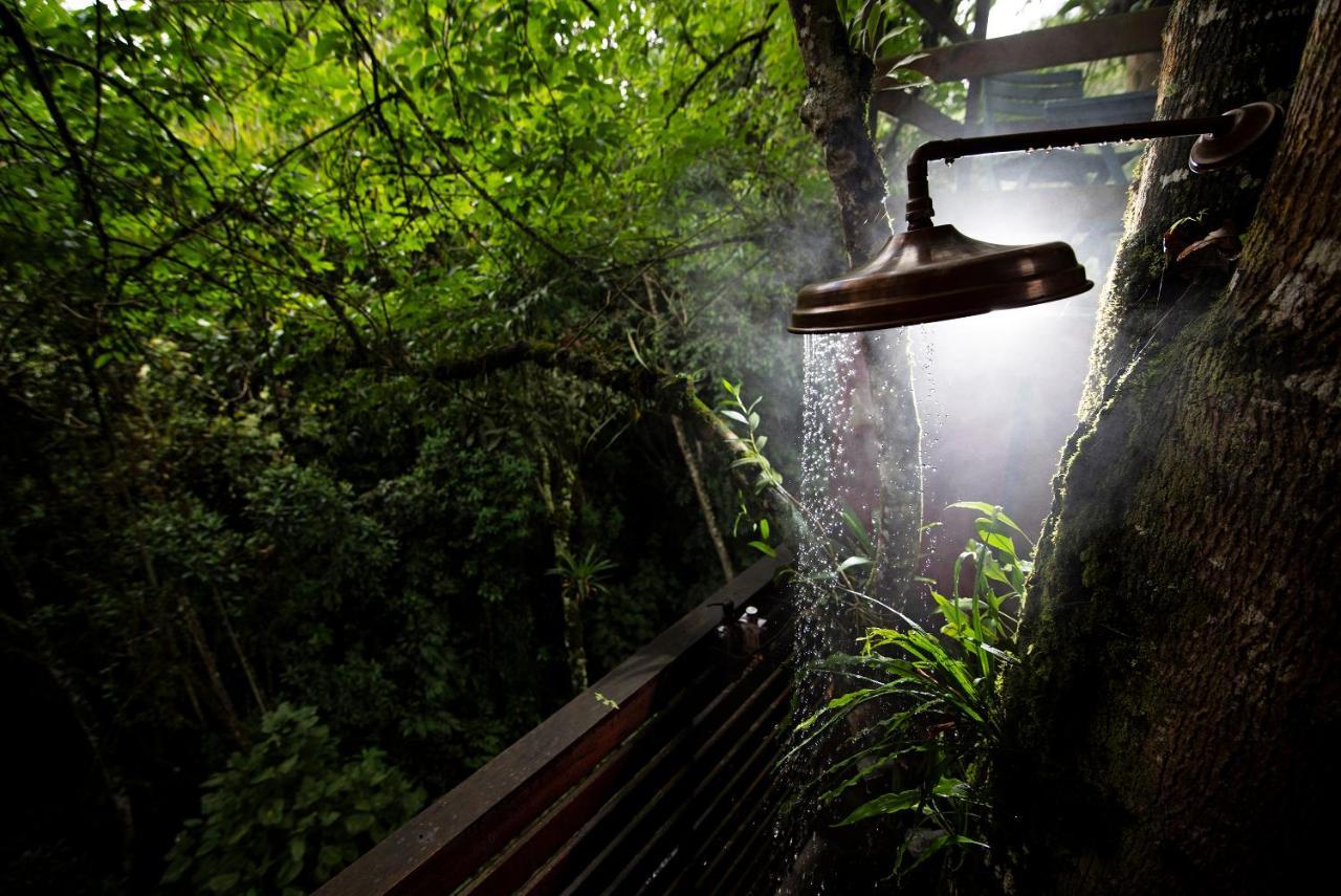 Tominejo Ecolodge - Casas En Los Arboles Neira エクステリア 写真