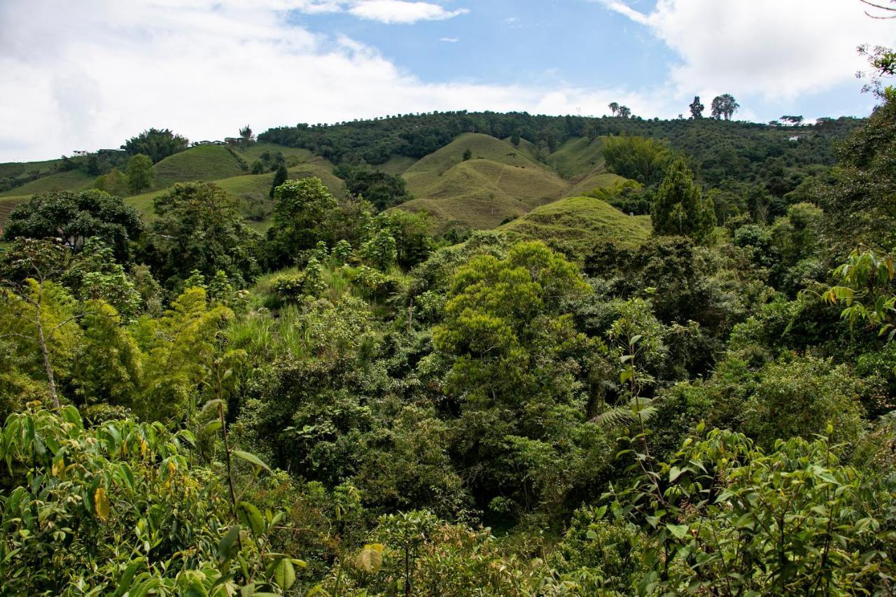 Tominejo Ecolodge - Casas En Los Arboles Neira エクステリア 写真