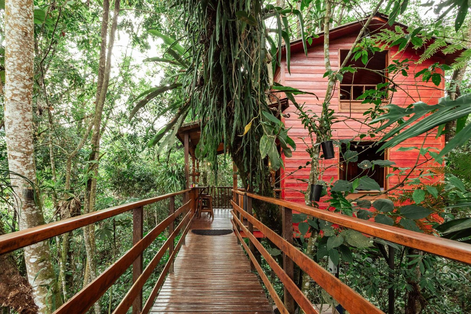 Tominejo Ecolodge - Casas En Los Arboles Neira エクステリア 写真
