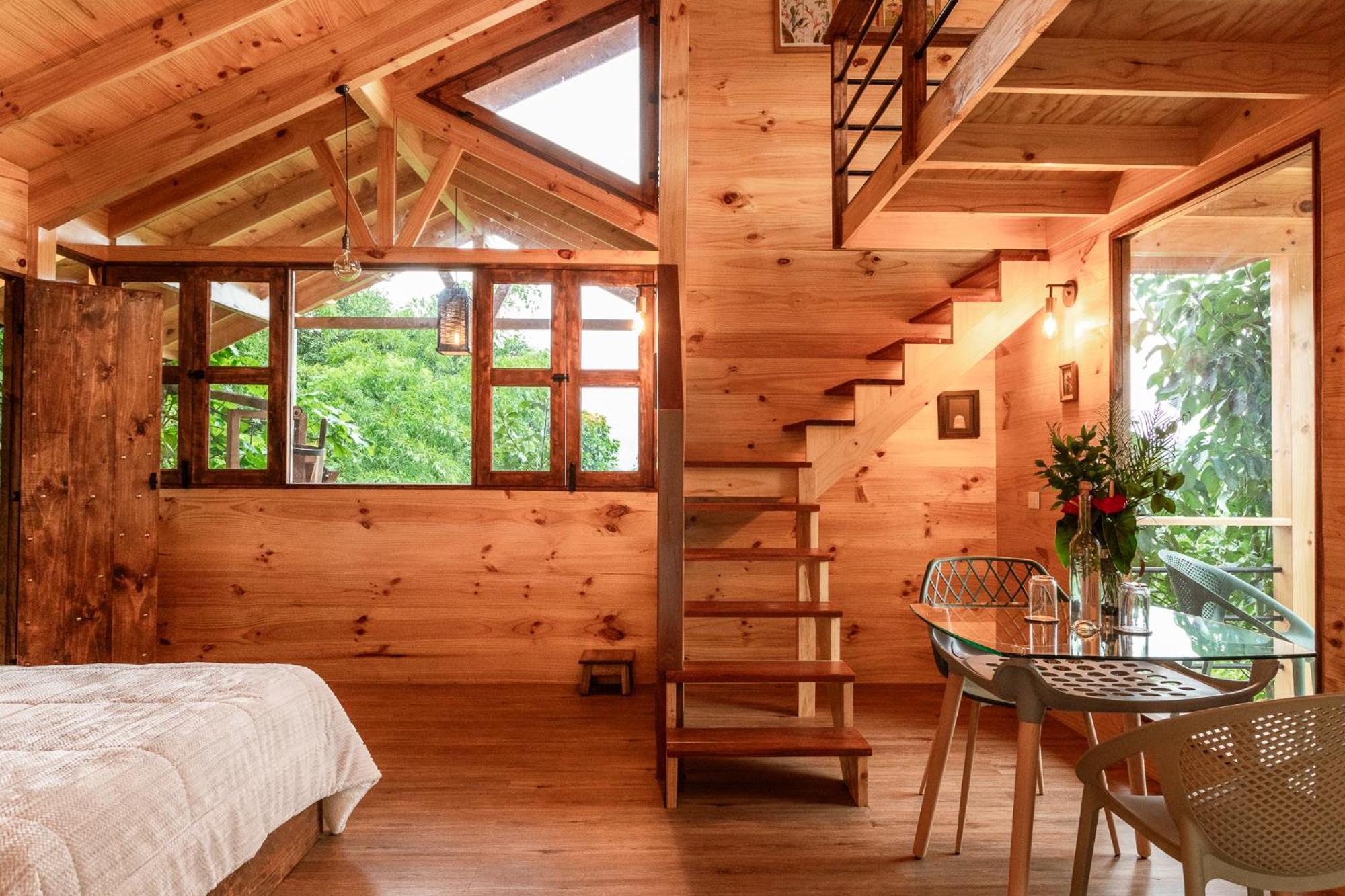 Tominejo Ecolodge - Casas En Los Arboles Neira エクステリア 写真