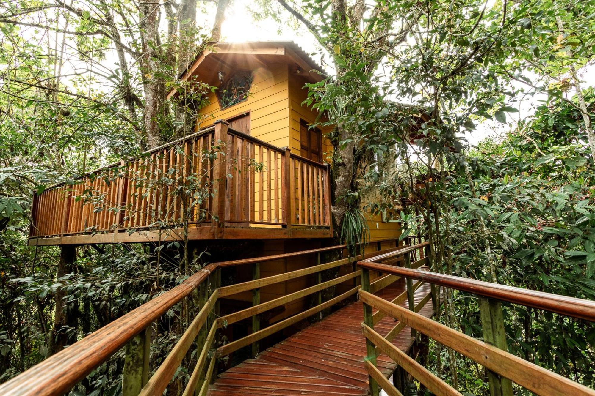 Tominejo Ecolodge - Casas En Los Arboles Neira エクステリア 写真