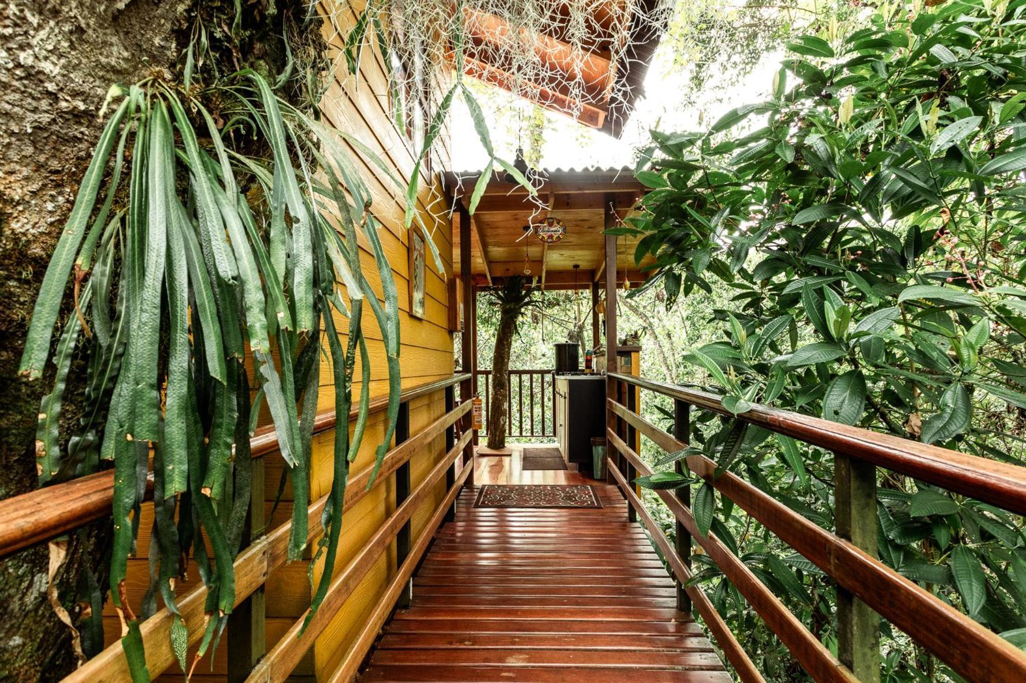 Tominejo Ecolodge - Casas En Los Arboles Neira エクステリア 写真