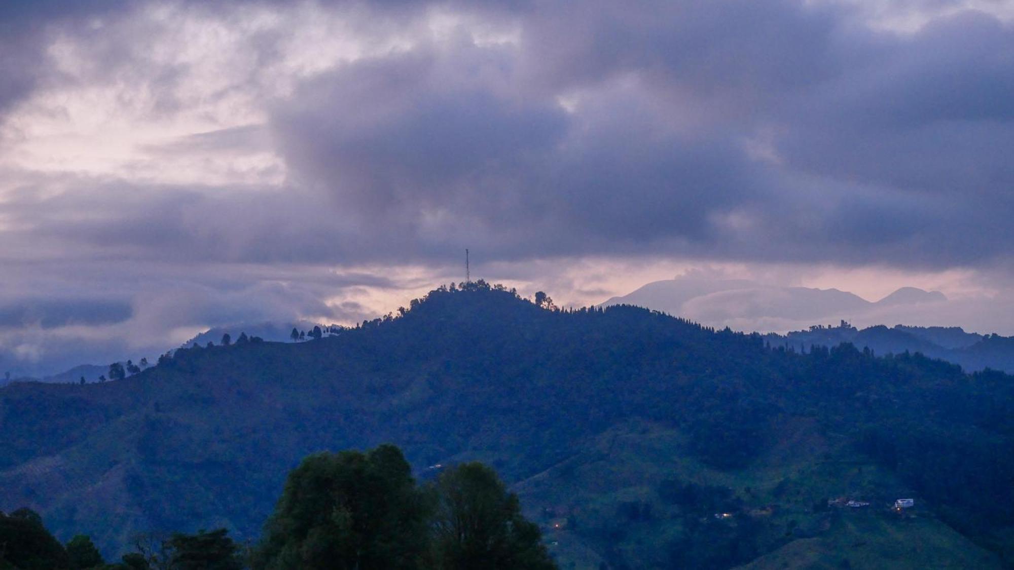 Tominejo Ecolodge - Casas En Los Arboles Neira エクステリア 写真