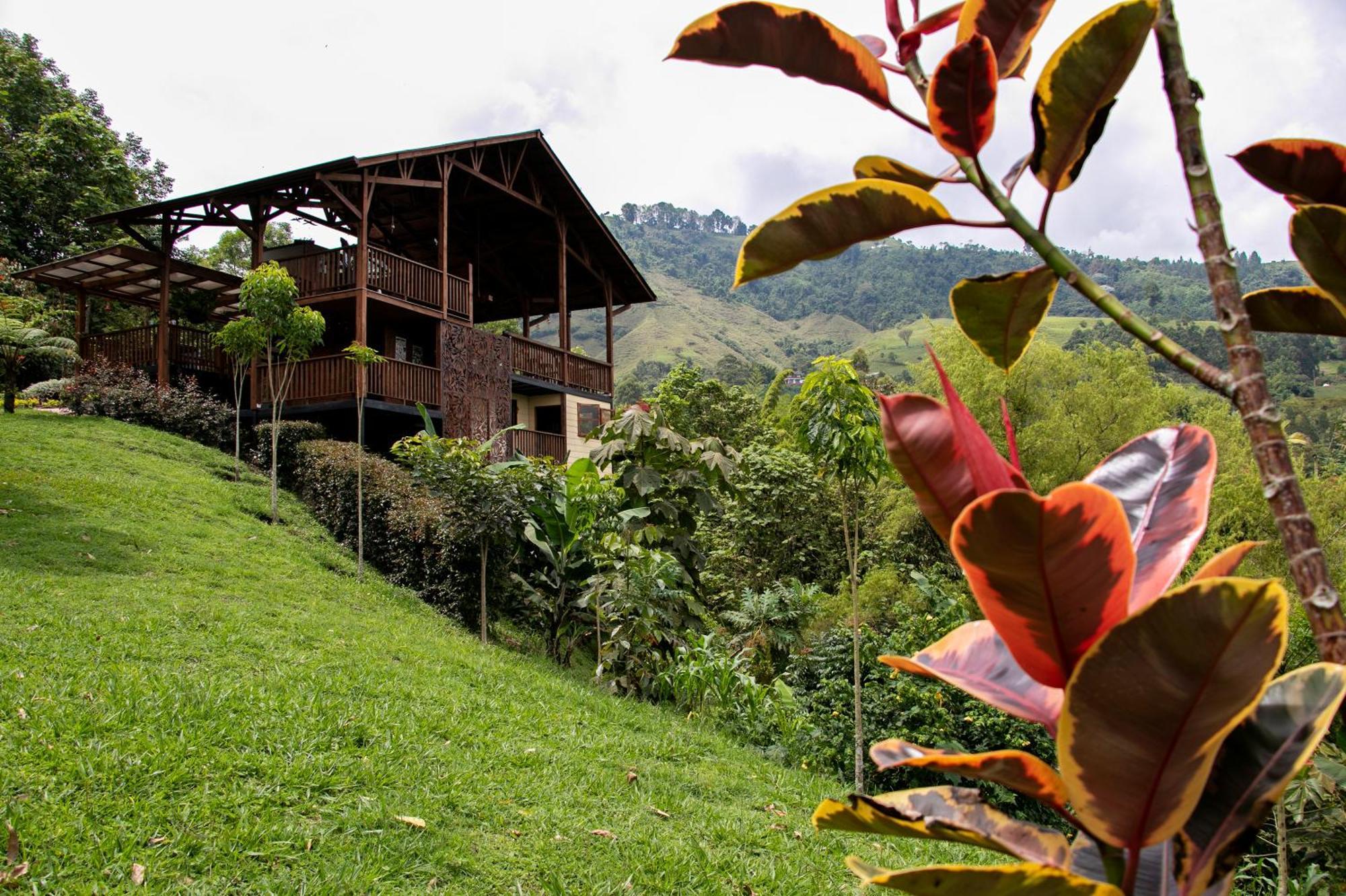 Tominejo Ecolodge - Casas En Los Arboles Neira エクステリア 写真